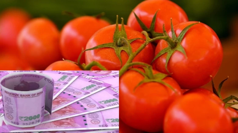 Tomato price hike makes Maharashtra farmer millionaire within a month; Know deets here
