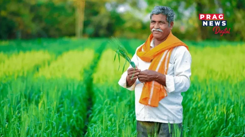 চৰকাৰে কৃষকৰ বাবে মুকলি কৰিছে প্ৰধানমন্ত্ৰী কিষাণ সন্মান নিধি