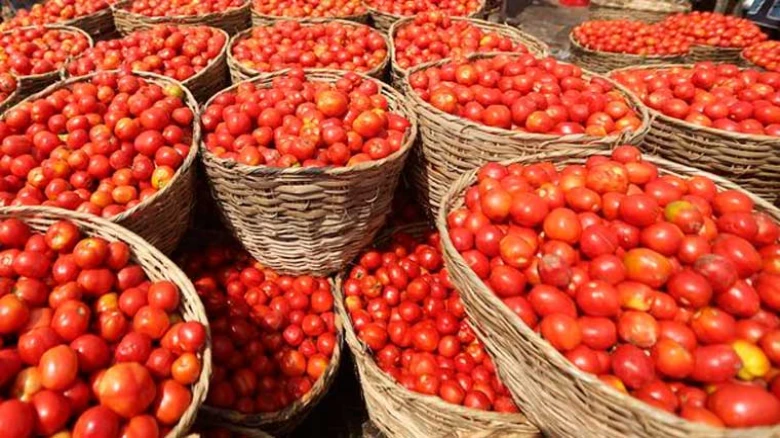 400 kg tomatoes stolen , Pune farmer approaches police