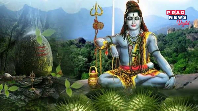 শাওণ মাহত ৰোপণ কৰক ধতুৰা ফুল!  মহাদেৱে দিব বিশেষ আশীৰ্বাদ
