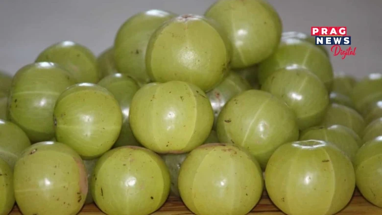 আমলখি আমি কিয় খাব লাগে? ইয়াৰ উপকাৰিতাৰ কথা জানি লওক