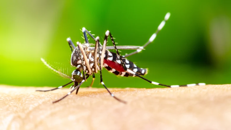 Several Cases of Japanese Encephalitis Reported In Assam