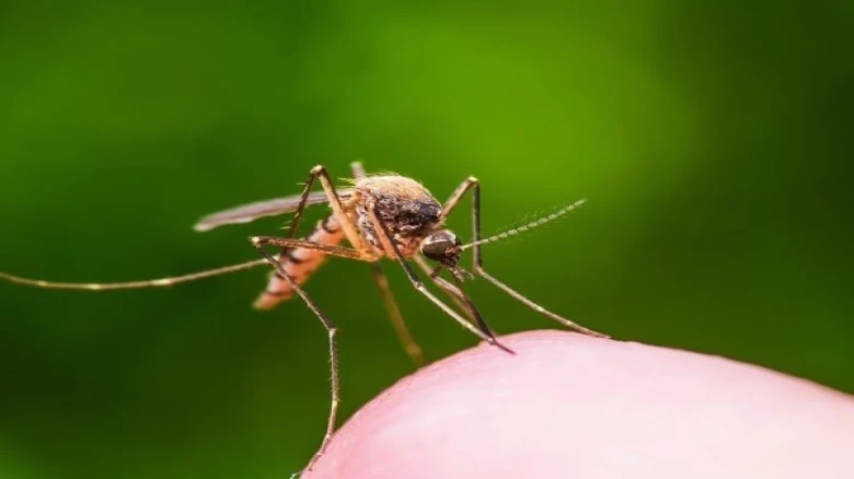 GMCH saw a surge of 30 cases of Acute Encephalitis Syndrome; says reports