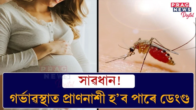 গৰ্ভাৱস্থাত ডেংগু মাৰাত্মক হ’ব পাৰে! লক্ষণ, জটিলতা আৰু প্ৰতিৰোধৰ পদ্ধতি জানি লওক