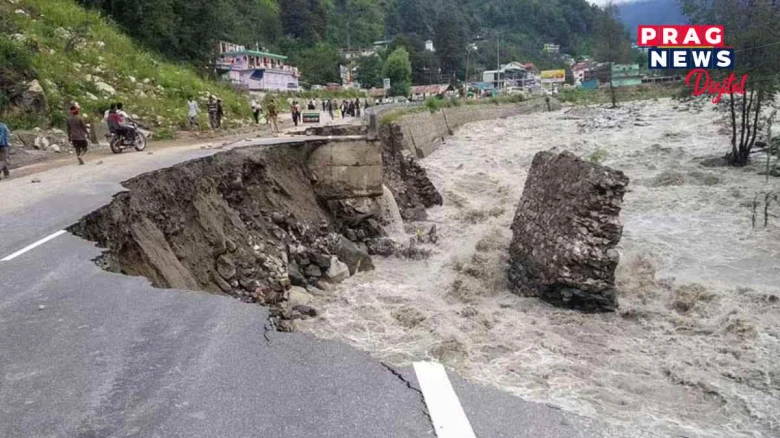 হিমাচল প্ৰদেশত বানৰ সংহাৰ, এতিয়ালৈকে ২৫৫ জনৰ মৃত্যু