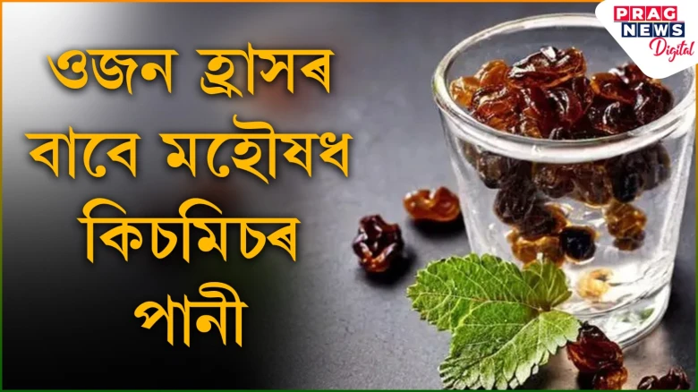 ওজন হ্ৰাসৰ বাবে মহৌষধ কিচমিচৰ পানী! খাওক এনেদৰে