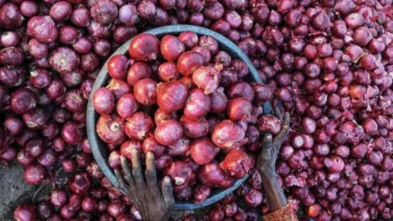 NCCF to sell buffer onion at subsidised rate of Rs 25/kg in Delhi from Monday