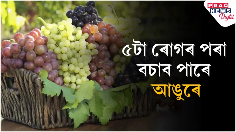 ৫ টা ৰোগ নিৰাময় কৰিব পাৰে আঙুৰে! খোৱা আৰম্ভ কৰক