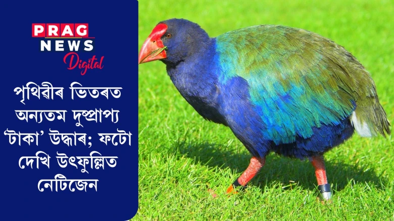 পৃথিৱীৰ ভিতৰত অন্যতম দুষ্প্ৰাপ্য 'টাকা’ উদ্ধাৰ; ফটো দেখি উৎফুল্লিত  নেটিজেন