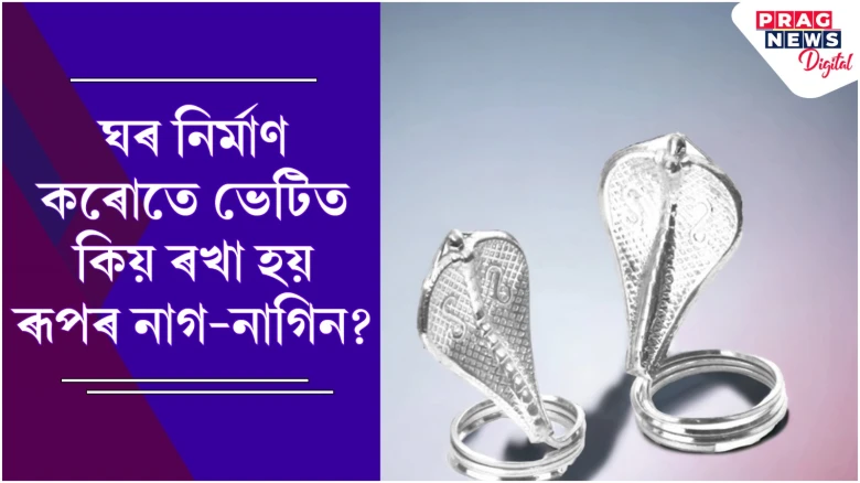 ঘৰ নিৰ্মাণ কৰোতে ভেটিত কিয় ৰখা হয় ৰূপৰ নাগ-নাগিন? ইয়াৰ আঁৰৰ ৰহস্য কি?