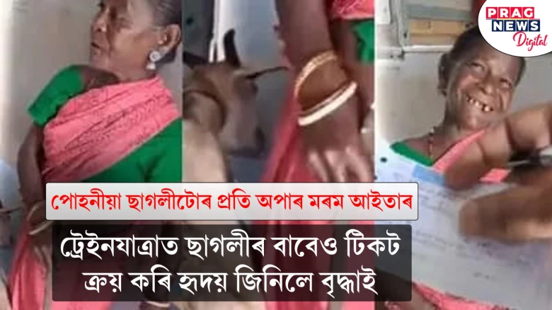 পোহনীয়া ছাগলীটোৰ প্ৰতি অপাৰ মৰম আইতাৰ  ট্ৰেইনযাত্ৰাত ছাগলীৰ বাবেও টিকট ক্ৰয় কৰি হৃদয় জিনিলে বৃদ্ধাই