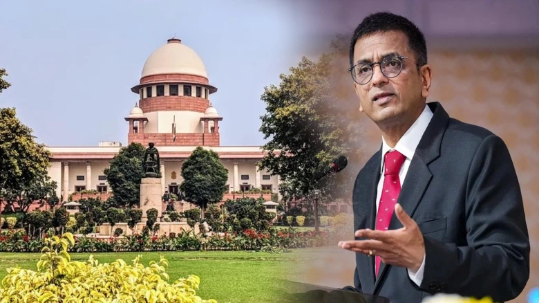 SC to come under National Judicial Data Grid Platform, CJI Chandrachud calls it 'Historic Day'