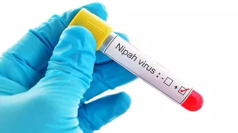 Nipah virus mortality rate massively higher than covid: ICMR chief