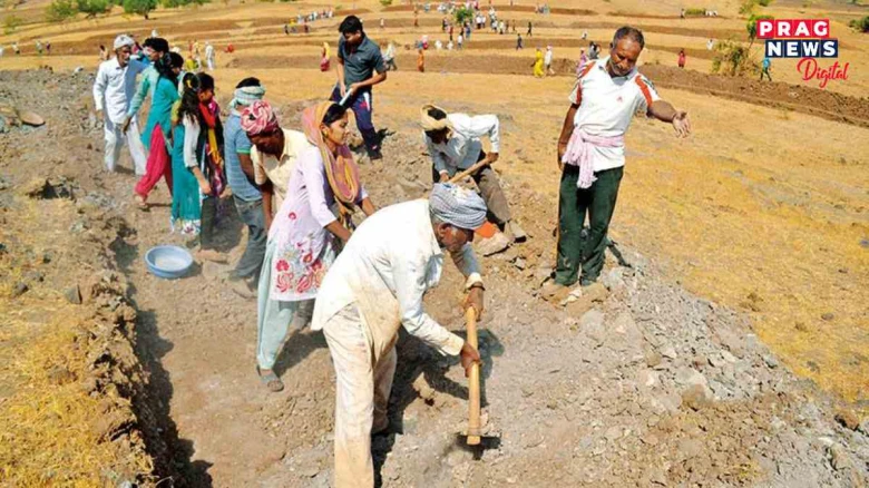 এনৰেগাৰ অধীনত বৃদ্ধি পাইছে নিযুক্তিৰ চাহিদা; বিগত বৰ্ষৰ তুলনাত আগষ্টত ২৫.৮%লৈ বৃদ্ধি