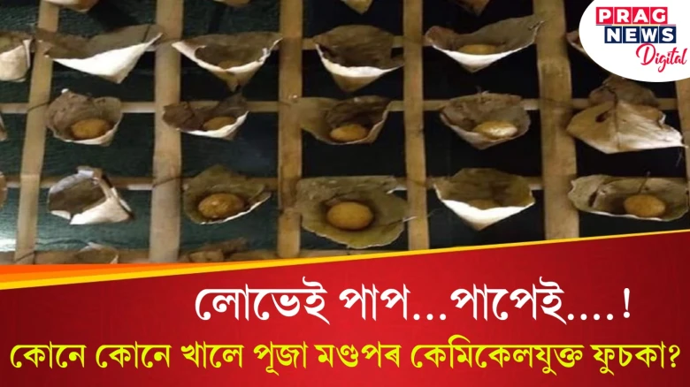 সেইবোৰত কেমিকেল লগোৱা আছিল ভাই! ফুচকাৰে সজোৱা পূজা মণ্ডপৰ পৰা ৬০০ ফুচকা কোনে খালে?
