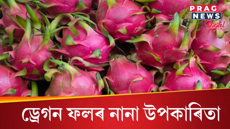 ড্ৰেগন ফলৰ বৰ দাম, পকেট হয় ঢিলা! কিন্তু স্বাস্থ্যই লাভ কৰে বহু উপকাৰিতা