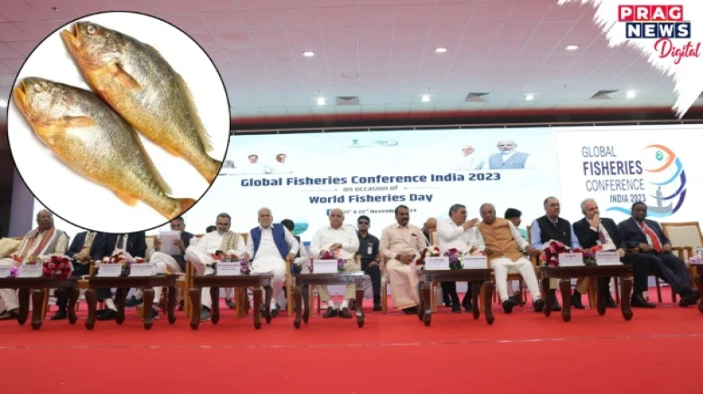 Gujarat CM declared Ghol fish as state fish; Its price may cost you a fortune- Check