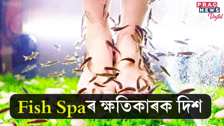 Fish Spa কৰে নেকি? এই ৰোগৰ বলি হ’ব পাৰে