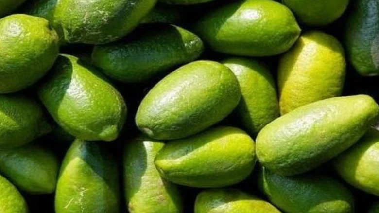 Assam’s ‘Kaji Nemu’ promoted in four major metro cities in India