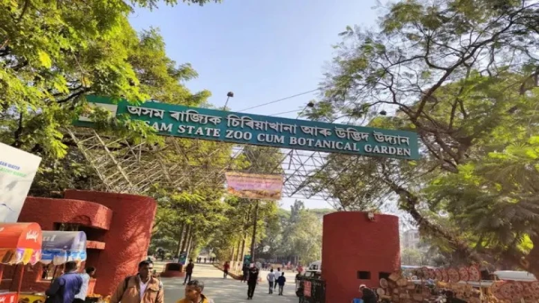 Assam to spend Rs. 350 crore for upgradation of Guwahati zoo, says CM Sarma