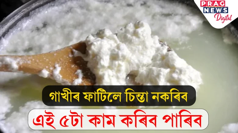 ফাটি যোৱা গাখীৰ পেলাই নিদিব! এই ৫টা কামত ব্যৱহাৰ কৰক