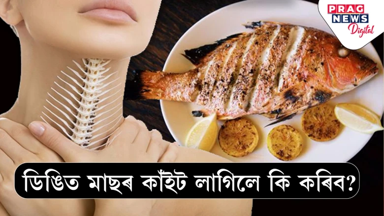 ডিঙিত মাছৰ কাঁইট লাগি ধৰিলে কি কৰিব লাগে? এই ঘৰুৱা উপায় জানিলে আপোনাৰ কামত আহিব