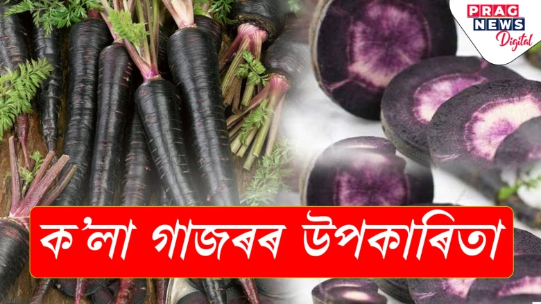 ক'লা গাজৰৰ উপকাৰিতাৰ কথা জানেনে? বিতংকৈ জানি লওক