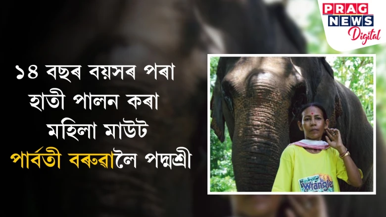 ১৪ বছৰ বয়সৰ পৰা হাতী পালন কৰা মহিলা মাউট পাৰ্বতী বৰুৱালৈ পদ্মশ্ৰী