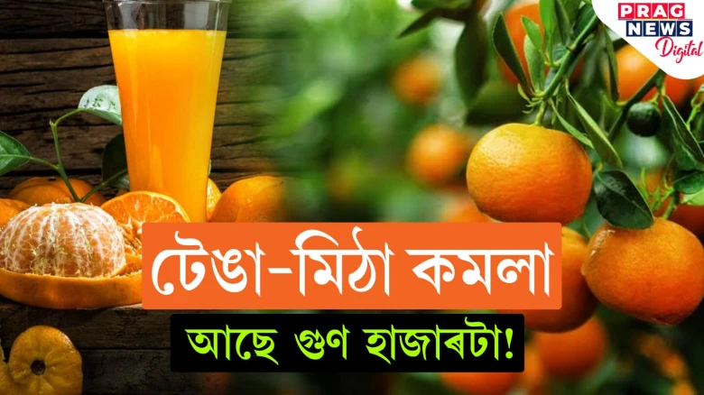 কমলাৰ নানা উপকাৰী গুণ জানিলে আচৰিত হ’ব আপুনি! খোৱা আৰম্ভ কৰক