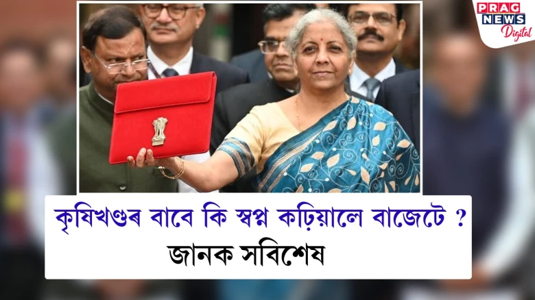 কৃষকৰ বাবে নতুন স্বপ্নৰ সন্ধান দিলে মোদী চৰকাৰে; কৃষিখণ্ডৰ বাবে বাজেটে দিলে কি? জানক সবিশেষ