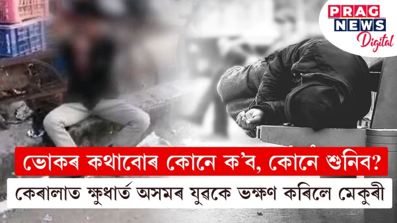পাঁচদিনধৰি ভোকত কলবলাই আছিল, খাবলৈ পোৱা নাছিল একো; অৱশেষত মৃত মেকুৰী কৰিলে ভক্ষণ