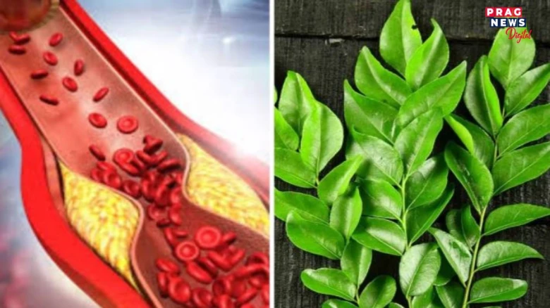 ৫বিধ সেউজীয়া পাতে শিৰাত জমা হোৱা বেয়া কলেষ্টৰেল ৰোধ কৰিব পাৰে...জানক ইয়াৰ সবিশেষ