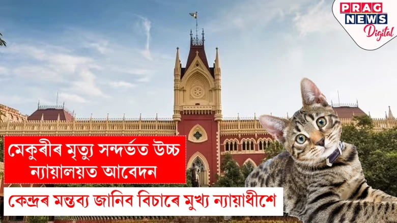 মেকুৰীৰ মৃত্যু সন্দৰ্ভত উচ্চ ন্যায়ালয়ত আবেদন: কেন্দ্ৰৰ মন্তব্য জানিব বিচাৰে মুখ্য ন্যায়াধীশে