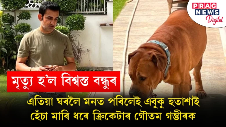 অকলশৰীয়া হৈ পৰিছে গৌতম গম্ভীৰ! ঘৰলৈ যাবলৈও মন নকৰা হৈছে ক্ৰিকেটাৰগৰাকীয়ে, কিন্তু কিয়?
