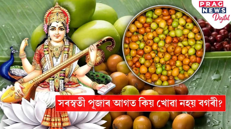লোভ লাগিলেও সৰস্বতী পূজাৰ আগত খোৱা নহয় বগৰী! কাৰণ কি?