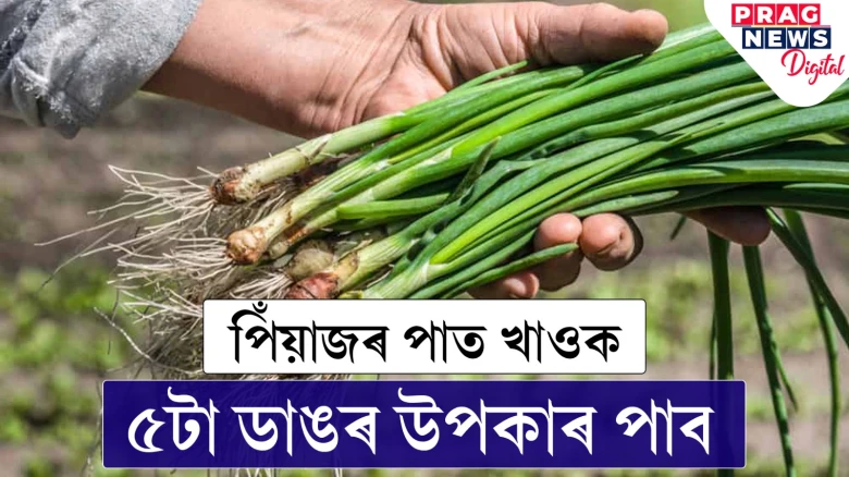 পিঁয়াজৰ পাত খালে পাব পাৰি ৫টা ডাঙৰ উপকাৰ