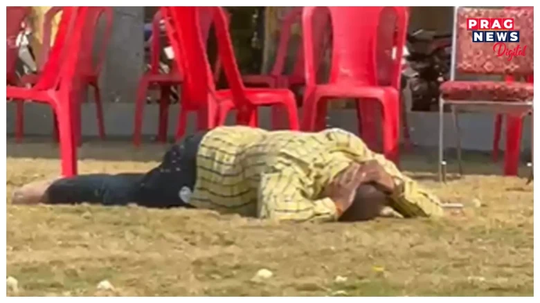 বিয়া খাবলৈ আহিল এজাক মৌমাখি! বিবাহস্থলীত সোমাইয়েই কামুৰিলে ১২ জন লোকক! লণ্ডভণ্ড বিয়া, ক’ত?