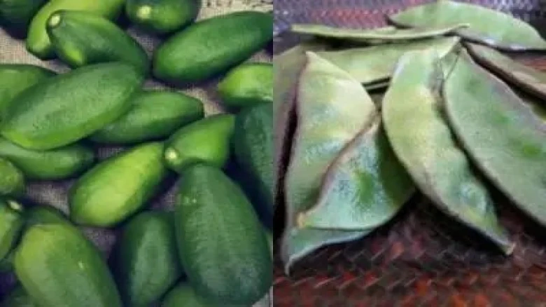 Assam: 'Kaji Nemu' and 'Urohi' among 27 agri produce go global in 2023-24