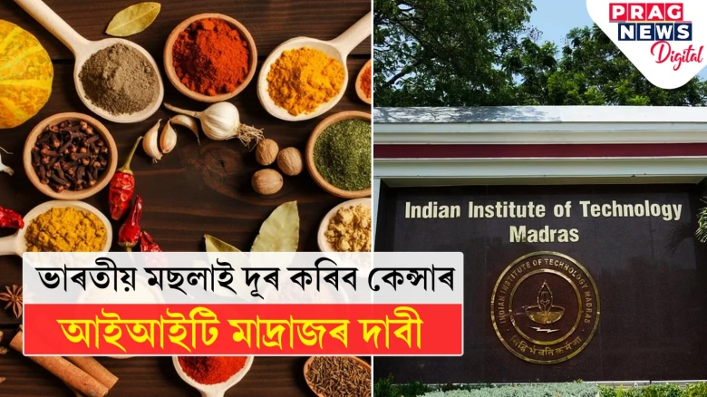 ভাৰতীয় মছলাৰে নিৰাময় হ’ব কেন্সাৰ! আইআইটি মাদ্ৰাজৰ গৱেষণাত প্ৰকাশ