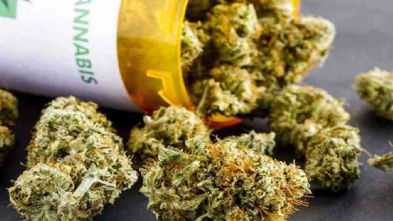 Ganja trade busted in Guwahati’s Hatigaon raid, three youths held