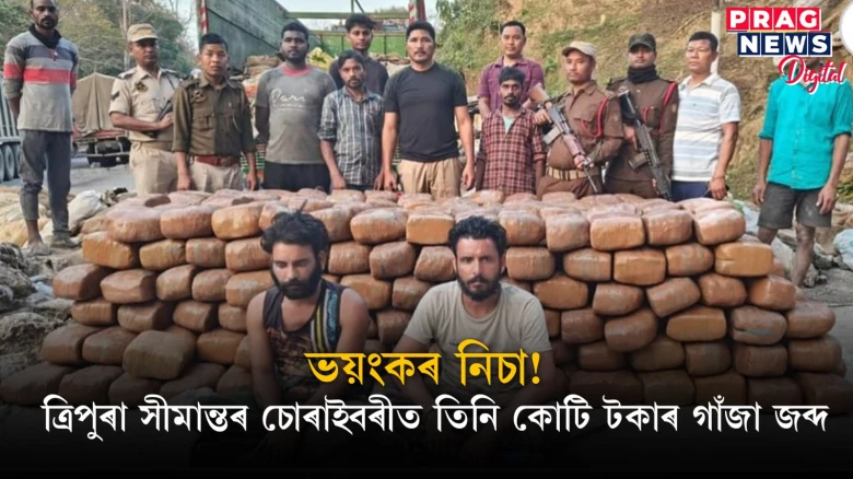 চোৰাইবৰীত তিনি কোটি টকাৰ গাঁজা জব্দ! ৰবৰ ভৰ্তি ট্ৰাকৰ পৰা জব্দ গাঁজাখিনি
