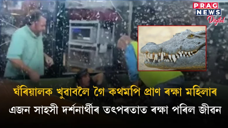 ঘঁৰিয়ালক খুৱাবলৈ গৈ কথমপি প্ৰাণ ৰক্ষা মহিলাৰ;  এজন সাহসী দৰ্শনাৰ্থীৰ তৎপৰতাত ৰক্ষা পৰিল জীৱন