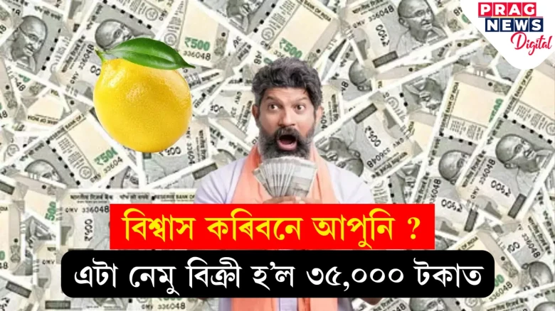 তামিলনাডুৰ এটা মন্দিৰত নেমুৰ নিলাম; সৰ্বাধিক দাম উঠিল ৩৫,০০০ টকালৈ