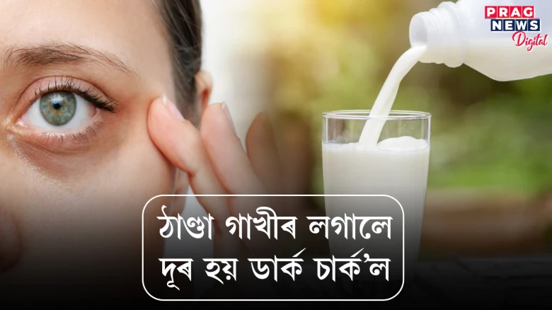 ঠাণ্ডা গাখীৰ লগালে ডাৰ্ক চাৰ্ক’ল নোহোৱা হয়! জানক বিতংকৈ