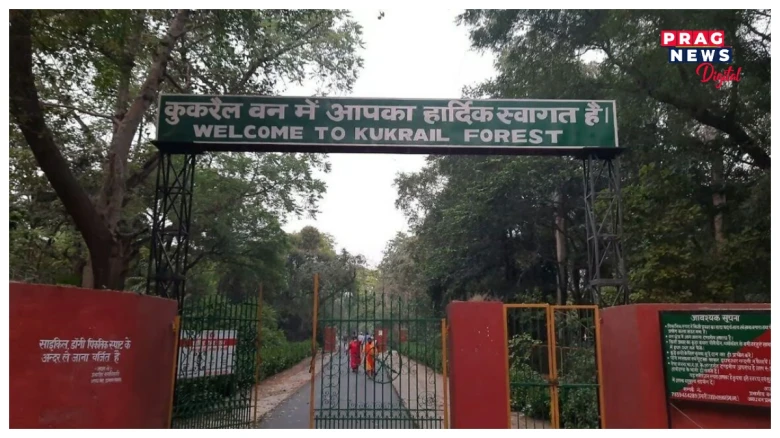 হাবিৰ মাজত ধুমপান নকৰিবলৈ কোৱাৰ বাবেই বনকৰ্মীৰ কাণ কামুৰিলে মহিলাই, ক’ত?