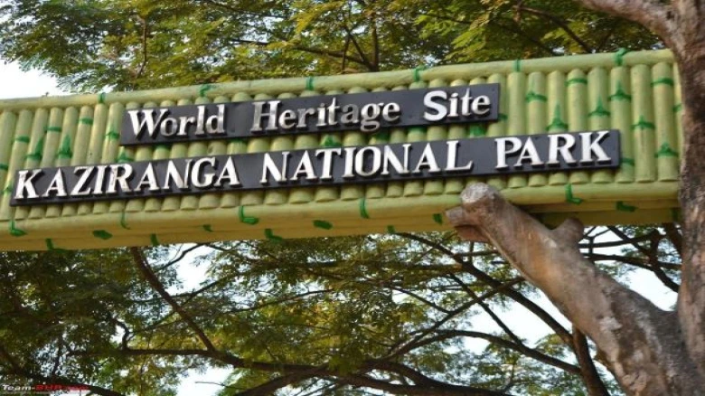 Russian Traveler Intercepted in Kaziranga While Attempting Unauthorized Entry