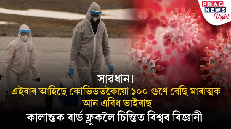 সাৱধান! এইবাৰ আহিছে কোভিডতকৈয়ো ১০০ গুণে বেছি মাৰাত্মক আন এবিধ ভাইৰাছ,কালান্তক বাৰ্ড ফ্লুকলৈ চিন্তিত বিশ্বৰ বিজ্ঞানী
