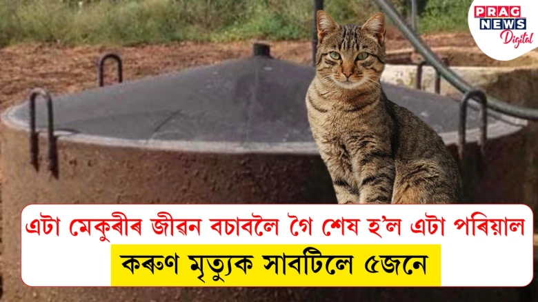 বায়’গেছ চেম্বাৰত পৰি যোৱা মেকুৰীক বচাবলৈ গৈ মৃত্যুক সাবটিলে এটা পৰিয়ালৰ ৫জনে