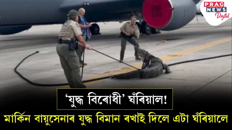 'যুদ্ধ বিৰোধী' ঘঁৰিয়াল! মাৰ্কিন বায়ুসেনাৰ  যুদ্ধ বিমান ৰখাই দিলে এটা ঘঁৰিয়ালে