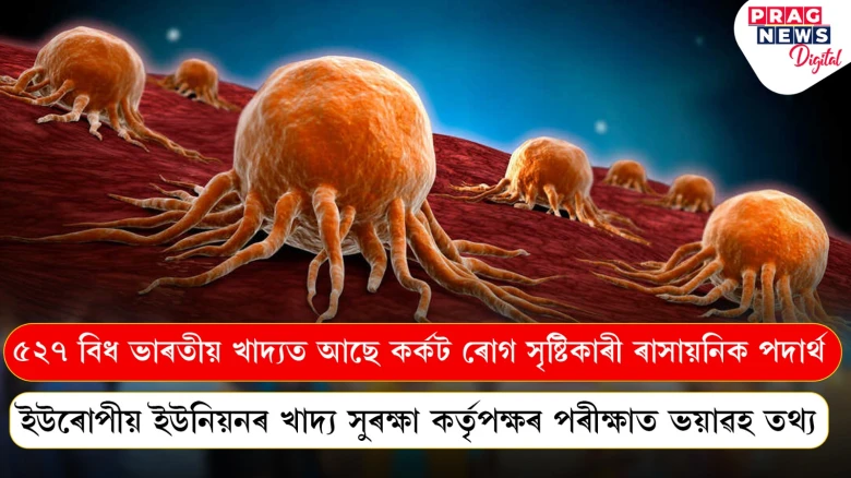 ৫২৭ বিধ ভাৰতীয় খাদ্যত আছে কৰ্কট ৰোগ সৃষ্টিকাৰী ৰাসায়নিক পদাৰ্থ, ইউৰোপীয় ইউনিয়নৰ খাদ্য সুৰক্ষা কৰ্তৃপক্ষৰ পৰীক্ষাত ভয়াৱহ তথ্য